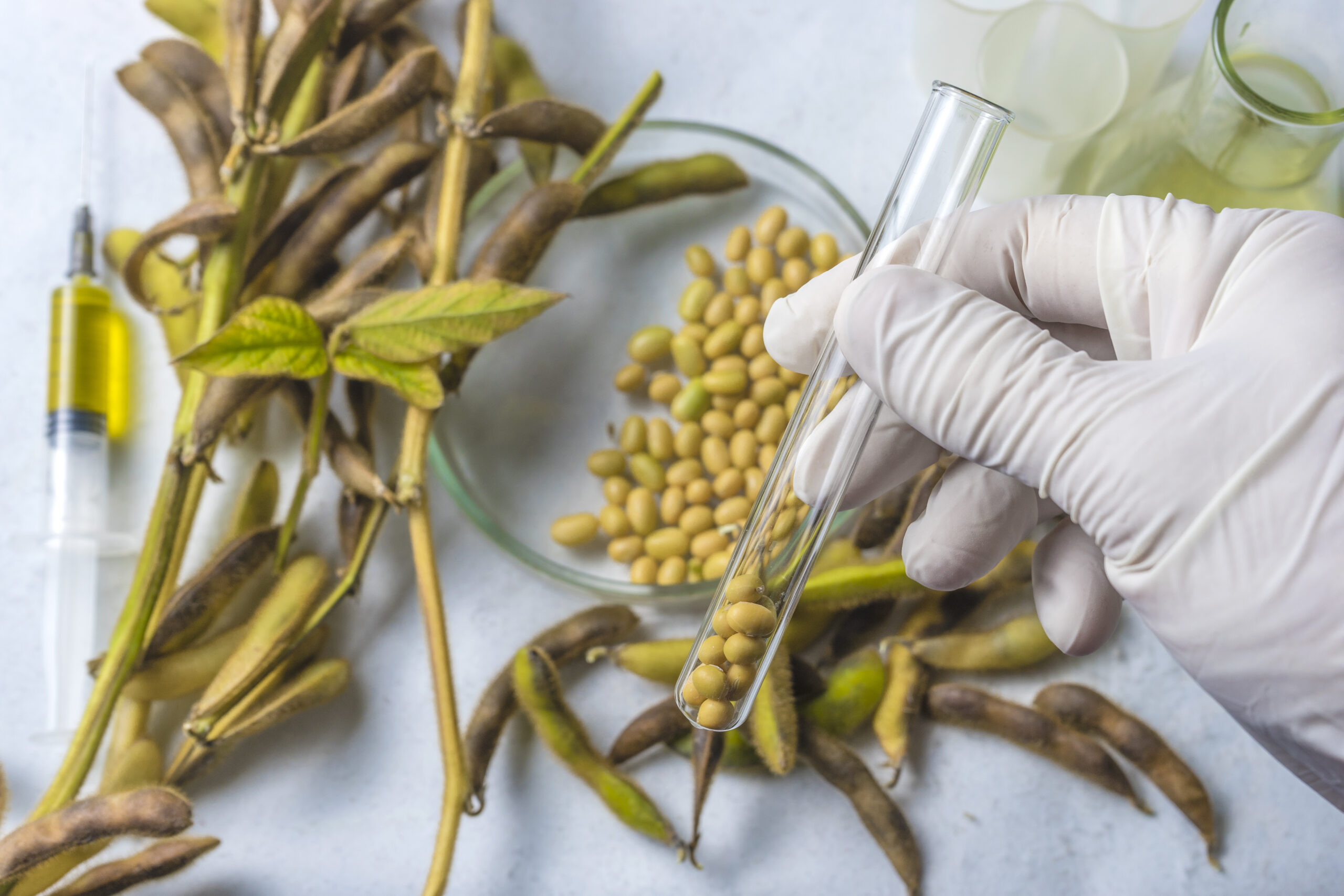 Scientist doing chemical analysis of soybean.